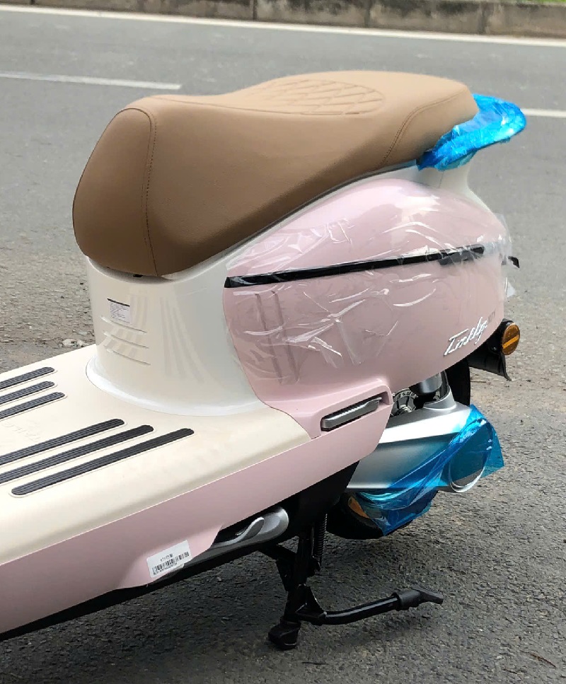 Xe Máy Điện Tailg Queen R71