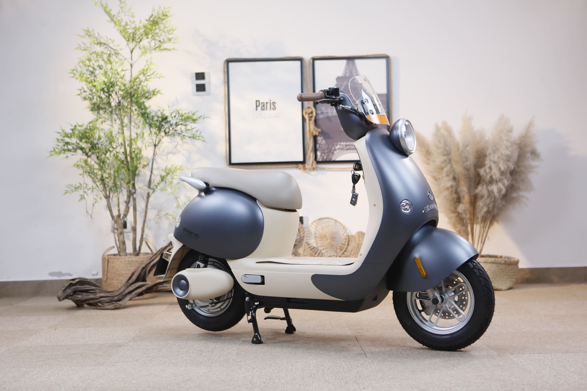 Th&aacute;ng 7 L&agrave; Thời Điểm V&agrave;ng Để Mua Xe Điện Dibao Tại Thế Giới Xe Điện