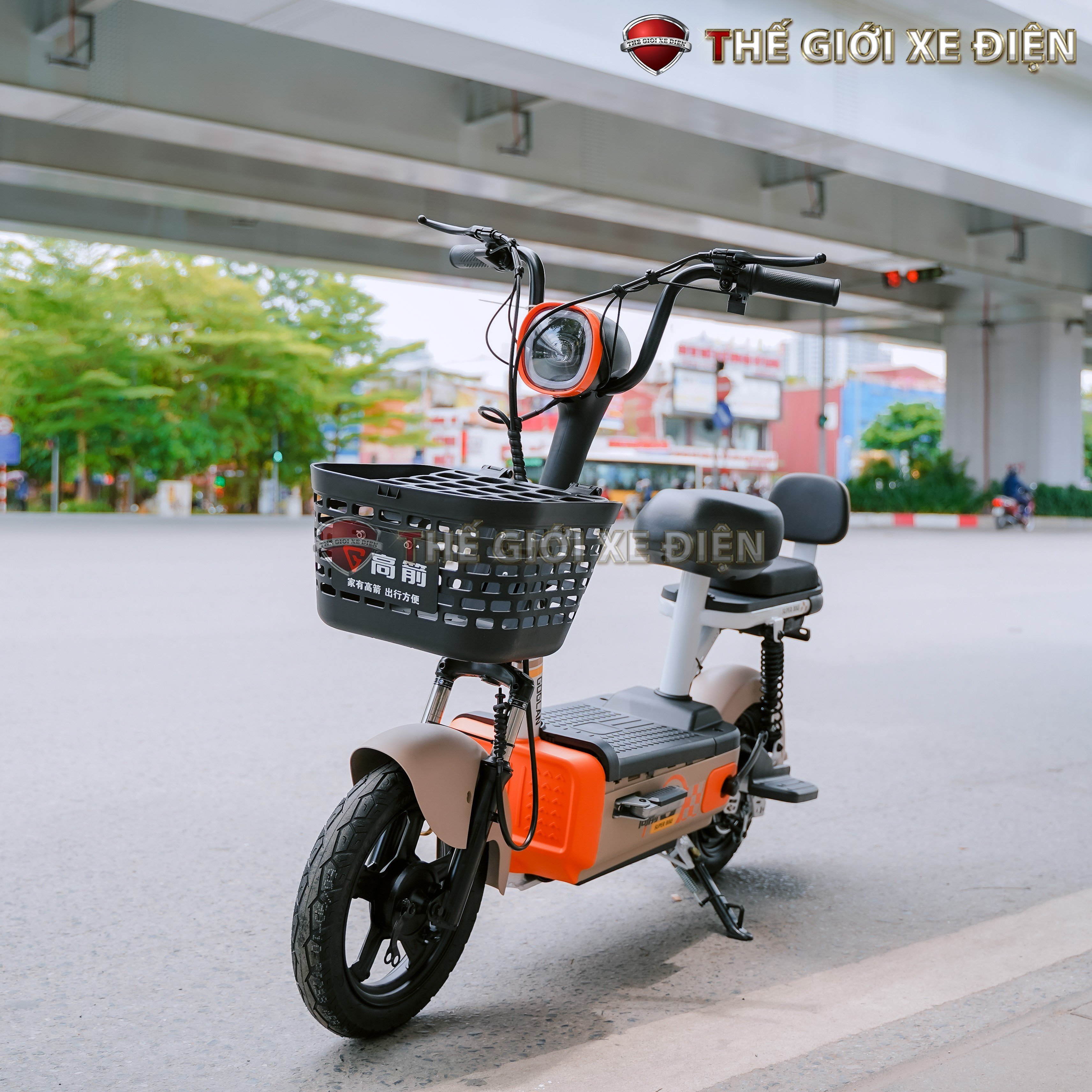 xe đạp điện dtbike 12ah