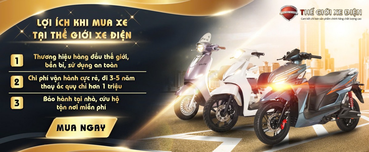Mua xe tại Thế Giới Xe Điện