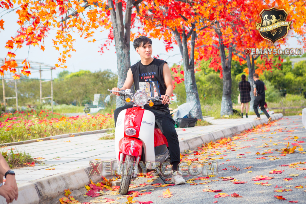 Xe ga Scoopy 50cc Việt Thái