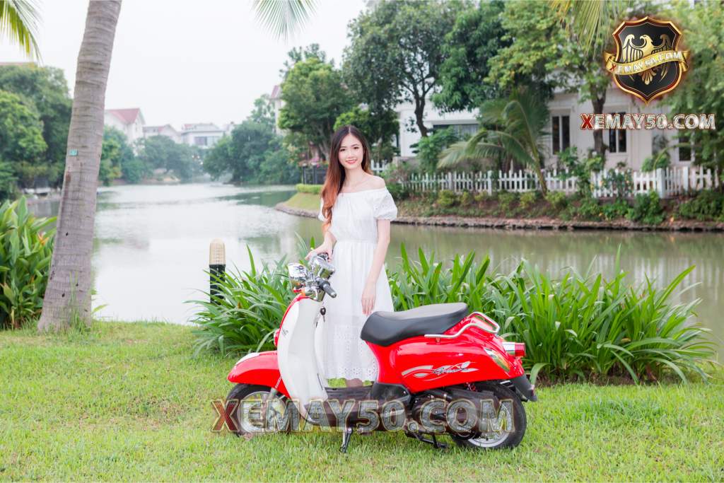 xe-ga-scoopy-50cc-viet-thai