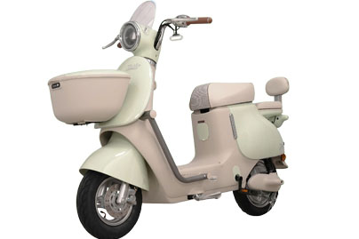 Xe Đạp Điện Tailg GR54 Đầy Đủ Giấy Tờ