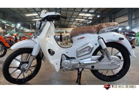 Xe Máy 50cc Cub Việt Thái Vành Đúc 2023